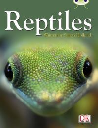 Book Cover for BC NF Red (KS2) B/5B Reptiles by Simon Holland