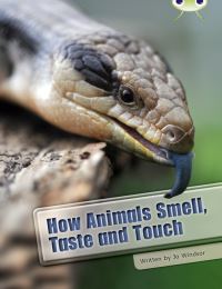 Book Cover for How Animals Smell, Taste and Touch by Jo Windsor