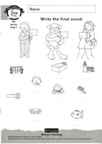 Book Cover for Literacy Edition Storyworlds Stage 6, Animal World, Workbook by 