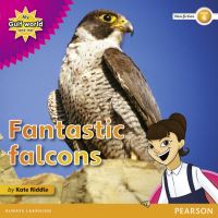 Book Cover for Fantastic Falcons by Kate Riddle