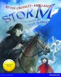 Book Cover for Wordsmith Year 3 Storm by 