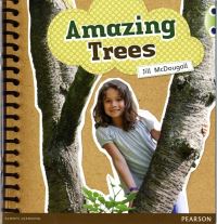 Book Cover for Amazing Trees by Jill McDougall