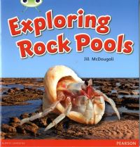 Book Cover for Exploring Rock Pools by Jill McDougall