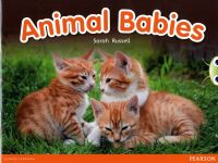 Book Cover for Animal Babies by Sarah Russell