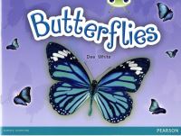 Book Cover for Butterflies by Dee White
