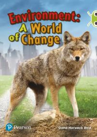 Book Cover for Environment by Dona Rice