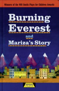 Book Cover for Burning Everest by Adrian Flynn, Michele Celeste