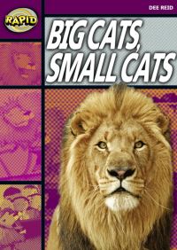 Book Cover for Big Cats, Small Cats by Dee Reid, Charlie Fowkes