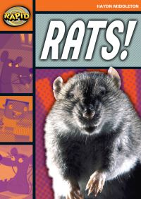 Book Cover for Rats! by Haydn Middleton, Fitz Hammond