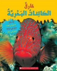 Book Cover for EXTRAORDINARY SEA CREATURES by SCHOLASTIC
