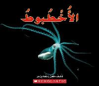 Book Cover for OCTOPUS by SCHOLASTIC