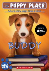 Book Cover for Buddy by Ellen Miles