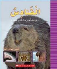 Book Cover for BEAVERS & OTHER ANIMALS WITH AMAZING TEE by SCHOLASTIC