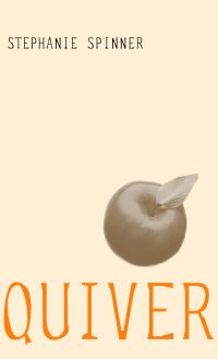 Book Cover for Quiver by Stephanie Spinner