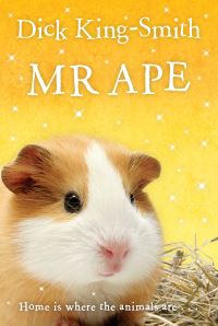 Book Cover for Mr Ape by Dick KingSmith, John Eastwood
