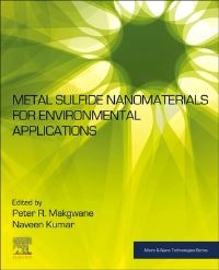 Book Cover for Metal Sulfide Nanomaterials for Environmental Applications by Peter Ramashadi Makgwane, Naveen Kumar