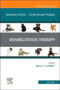 Book Cover for Rehabilitation Therapy by Molly J Flaherty