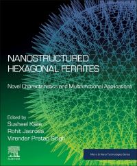 Book Cover for Nanostructured Hexagonal Ferrites by Susheel Kalia, Rohit Jasrotia, Virender Pratap Singh