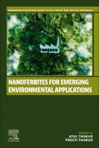 Book Cover for Nanoferrites for Emerging Environmental Applications by Atul Thakur, Preeti Thakur