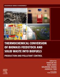Book Cover for Thermochemical Conversion of Biomass Feedstock and Solid Waste Into Biofuels by Yanjun Hu, Nan Zhou, Shurong Wang, Jianhua Yan