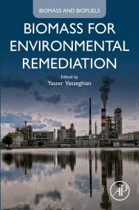 Book Cover for Biomass for Environmental Remediation by Yasser Vasseghian