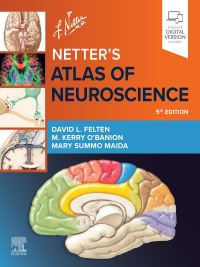 Book Cover for Netter's Atlas of Neuroscience by David L Felten, Michael K OBanion, Mary Summo Maida