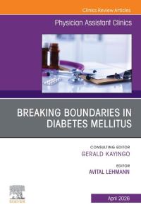 Book Cover for Breaking Boundaries in Diabetes Mellitus by Avital Lehmann