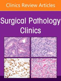 Book Cover for Updates in Gynecologic Pathology, An Issue of Surgical Pathology Clinics by Joseph T Rabban, M Zehra Ordulu Sahin