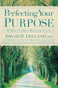 Book Cover for Perfecting Your Purpose by David Ireland
