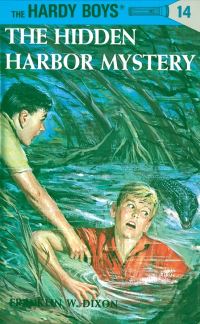 Book Cover for Hardy Boys 14 by Franklin W Dixon