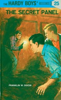 Book Cover for Hardy Boys 25 by Franklin W Dixon