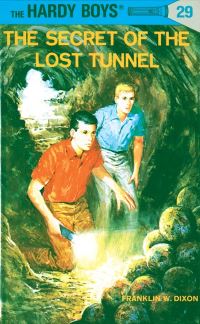 Book Cover for Hardy Boys 29 by Franklin W Dixon