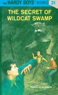 Book Cover for Hardy Boys 31 by Franklin W Dixon