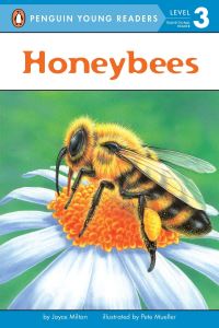 Book Cover for Honeybees by Joyce Milton, Pete Mueller