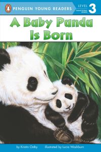 Book Cover for A Baby Panda Is Born by Kristin Ostby, Lucia Washburn