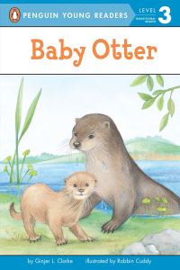 Book Cover for Baby Otter by Ginjer L Clarke, Robbin Cuddy