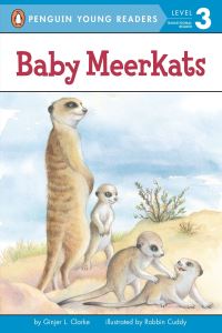 Book Cover for Baby Meerkats by Ginjer L Clarke, Robbin Cuddy