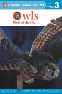 Book Cover for Owls by Emily Sollinger