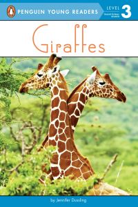 Book Cover for Giraffes by Jennifer Dussling