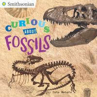 Book Cover for Curious About Fossils by Kate Waters