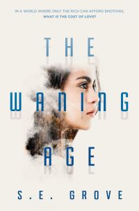 Book Cover for The Waning Age by S E Grove