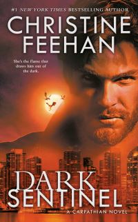 Book Cover for Dark Sentinel by Christine Feehan
