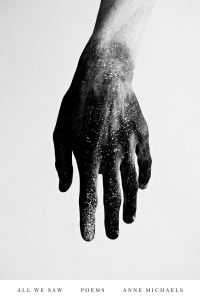 Book Cover for All We Saw by Anne Michaels