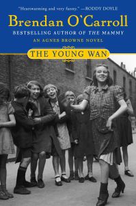 Book Cover for The Young Wan by Brendan OCarroll