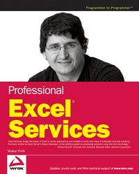 Book Cover for Professional Excel Services by Shahar Prish