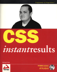 Book Cover for CSS Instant Results by Richard York