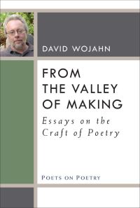 Book Cover for From the Valley of Making by David Wojahn