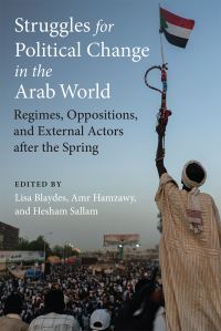 Book Cover for Struggles for Political Change in the Arab World by Lisa Blaydes, Amr Hamzawy, Hesham Sallam