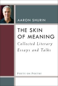 Book Cover for The Skin of Meaning by Aaron Shurin