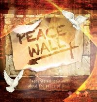 Book Cover for Peace Wall by Kate Macale, Mike Burrows Graphics